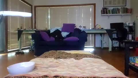 sissyanalslut521247 online show from January 17, 2025, 9:28 pm