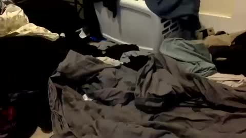 Snapshot of sissykora chatting on October 14, 2025, 6:36 am Kora online show from October 14, 2025, 6:36 am