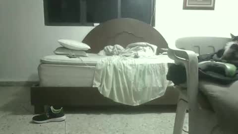 skanky_little_dolls online show from November 27, 2025, 8:05 am