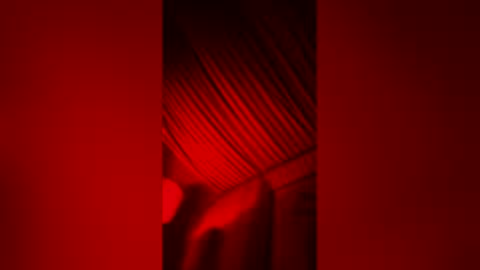 skindiana_bones online show from February 8, 2026, 10:40 am