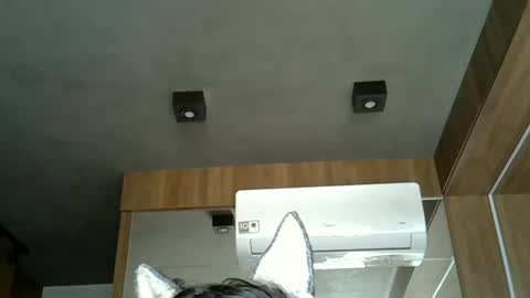 Snapshot of skinnykittencam chatting on September 21, 2025, 5:14 pm skinnykittencam online show from September 21, 2025, 5:14 pm