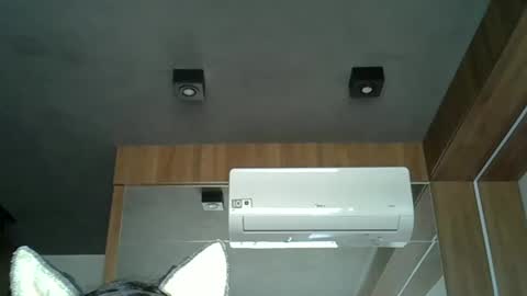 Snapshot of skinnykittencam chatting on October 3, 2025, 11:51 am skinnykittencam online show from October 3, 2025, 11:51 am