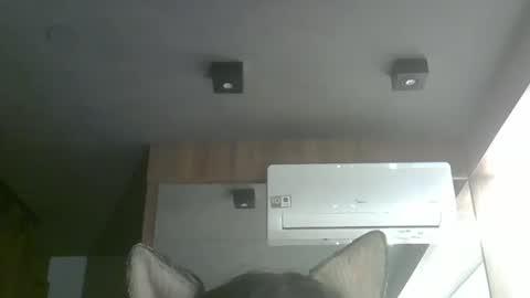 Snapshot of skinnykittencam chatting on October 5, 2025, 12:53 am skinnykittencam online show from October 5, 2025, 12:53 am
