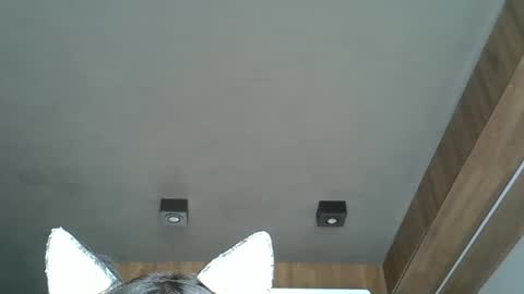 Snapshot of skinnykittencam chatting on October 7, 2025, 4:59 pm skinnykittencam online show from October 7, 2025, 4:59 pm