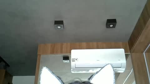 Snapshot of skinnykittencam chatting on October 14, 2025, 5:36 pm skinnykittencam online show from October 14, 2025, 5:36 pm