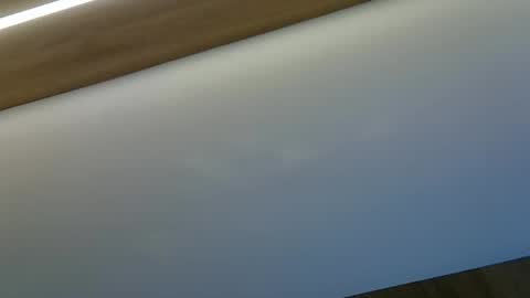 Snapshot of skinnykittencam chatting on October 29, 2025, 8:54 pm skinnykittencam online show from October 29, 2025, 8:54 pm