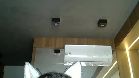 skinnykittencam online show from November 5, 2025, 3:56 pm