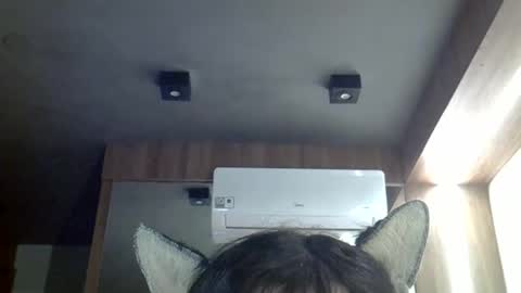 skinnykittencam online show from May 3, 2026, 3:07 pm
