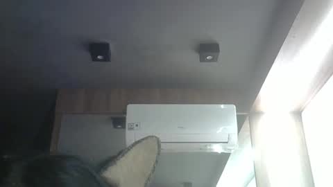 skinnykittencam online show from May 4, 2026, 3:13 am