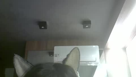 skinnykittencam online show from May 10, 2026, 6:51 am