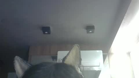 skinnykittencam online show from May 14, 2026, 9:05 am