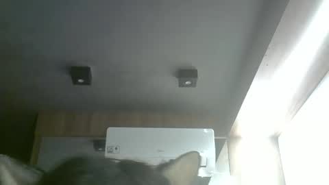 skinnykittencam online show from May 17, 2026, 11:17 am