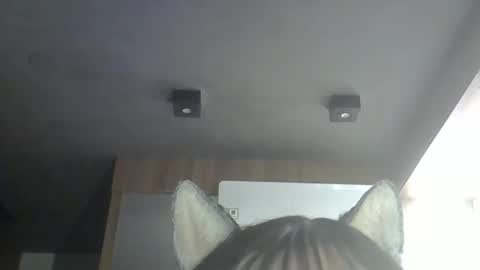 skinnykittencam online show from May 18, 2026, 1:02 am