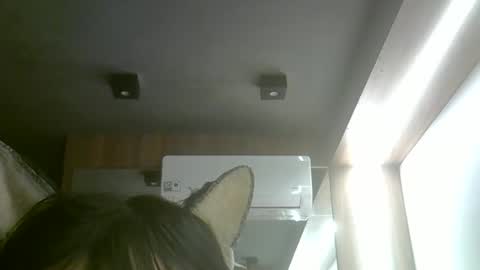 skinnykittencam online show from May 18, 2026, 8:47 pm