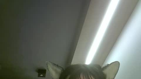 skinnykittencam online show from May 19, 2026, 2:18 am