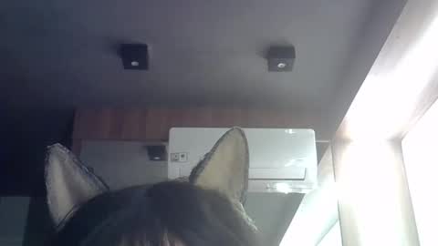 skinnykittencam online show from May 21, 2026, 9:16 am