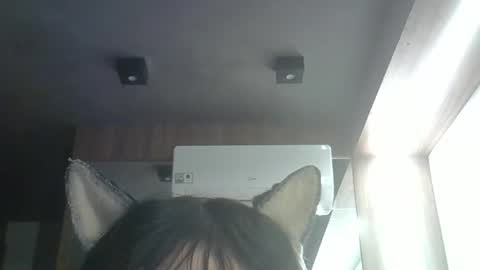 skinnykittencam online show from May 23, 2026, 3:38 pm