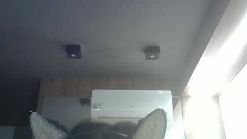 skinnykittencam online show from May 24, 2026, 3:55 am