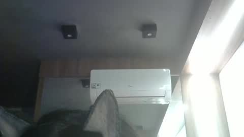 skinnykittencam online show from May 24, 2026, 4:01 pm