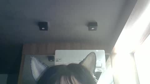 skinnykittencam online show from May 26, 2026, 9:38 am