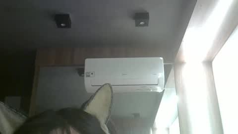 skinnykittencam online show from May 26, 2026, 11:01 pm