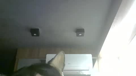 skinnykittencam online show from May 28, 2026, 6:38 pm