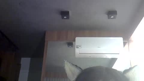 skinnykittencam online show from May 30, 2026, 6:54 am