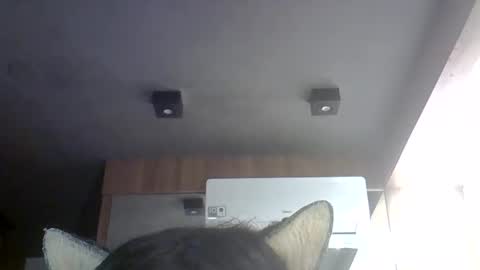 skinnykittencam online show from May 30, 2026, 7:00 pm