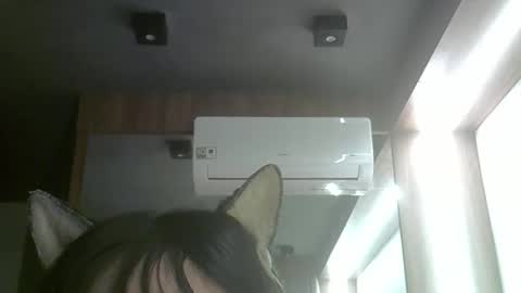 skinnykittencam online show from June 3, 2026, 5:21 am