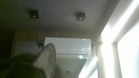 skinnykittencam online show from June 3, 2026, 5:51 pm