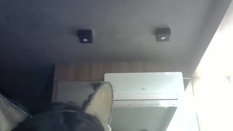 skinnykittencam online show from June 8, 2026, 4:51 pm