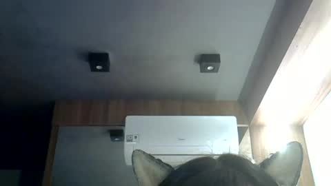 skinnykittencam online show from June 19, 2026, 12:04 am