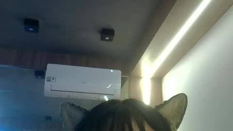 skinnykittencam online show from June 23, 2026, 1:42 pm