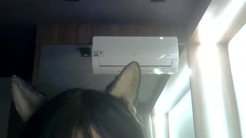 skinnykittencam online show from June 29, 2026, 3:13 am