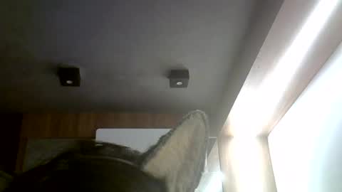 skinnykittencam online show from July 4, 2026, 6:25 pm