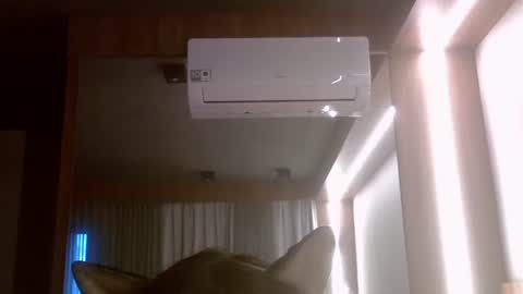 skinnykittencam online show from July 7, 2026, 8:02 pm