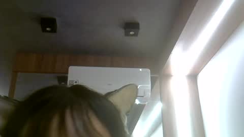skinnykittencam online show from July 25, 2026, 6:38 pm