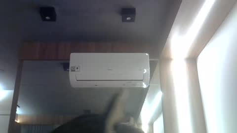 skinnykittencam online show from July 28, 2026, 11:48 pm