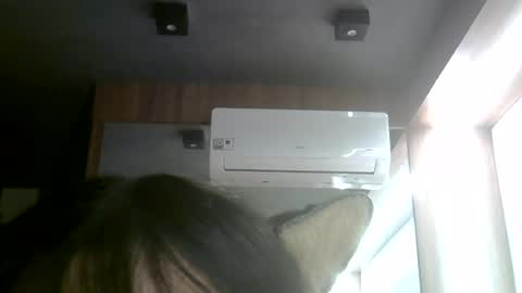 skinnykittencam online show from July 30, 2026, 2:21 am