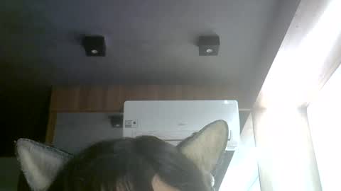 skinnykittencam online show from August 2, 2026, 3:16 am