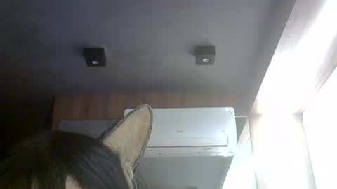 skinnykittencam online show from August 2, 2026, 3:54 pm