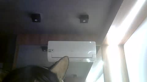 skinnykittencam online show from August 3, 2026, 4:55 pm
