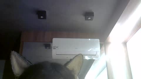 skinnykittencam online show from August 4, 2026, 5:59 pm