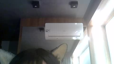 skinnykittencam online show from August 5, 2026, 6:16 am