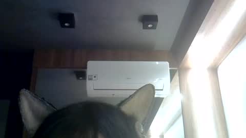 skinnykittencam online show from August 6, 2026, 2:30 pm