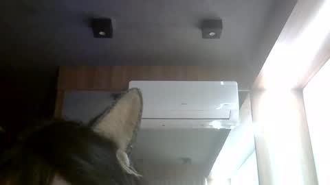 skinnykittencam online show from August 7, 2026, 5:59 pm
