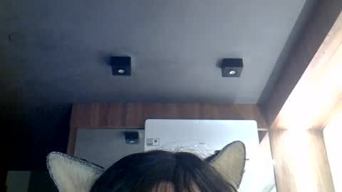 skinnykittencam online show from August 8, 2026, 6:04 am