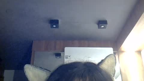 skinnykittencam online show from August 8, 2026, 6:10 pm