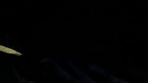 skinnypole6 online show from December 4, 2024, 6:06 pm