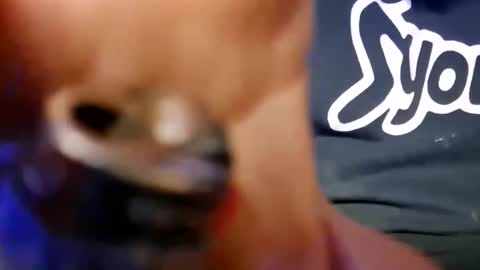 skunk8p online show from January 11, 2026, 6:29 am